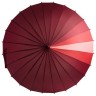 Купол красного зонта Спектр.