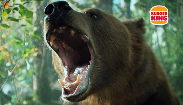 Реклама с медведем