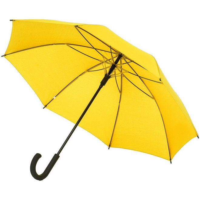 Зонт-трость с цветными спицами Bespoke