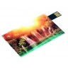 Usb флешки-кредитки Color Card 2 c изображением