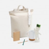 Набор Eco Sapiens Buddy