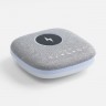 Bluetooth колонка с беспроводной зарядкой Terrafonic
