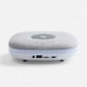 Bluetooth колонка с беспроводной зарядкой Terrafonic