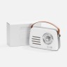 Bluetooth-колонка с радио Retronica