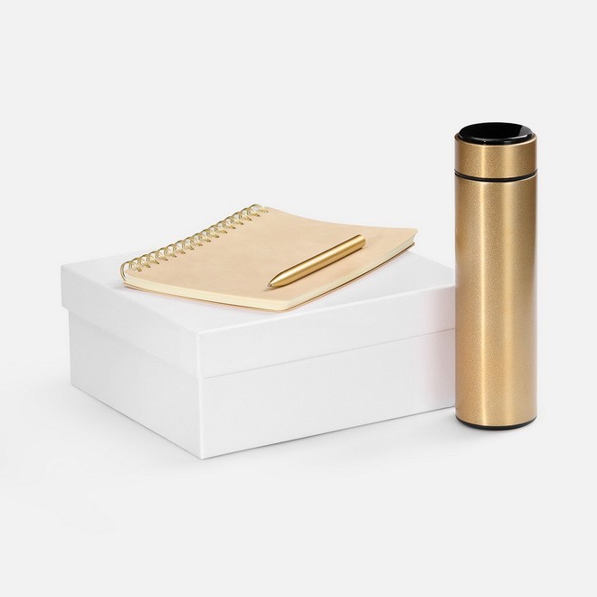 Набор с ручкой и ежедневником